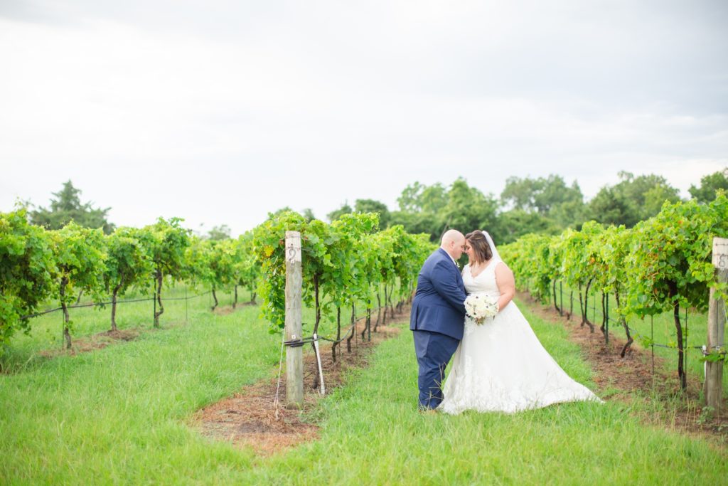 A bride and groom share a moment in a vineyard alone. 